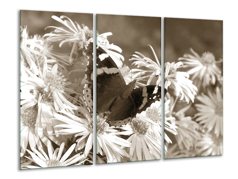 Canvas Schilderij Bloemen, Vlinder | Sepia, Bruin | 120x80cm 3Luik