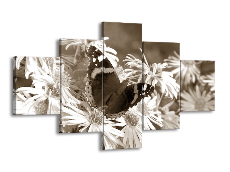 Glasschilderij Bloemen, Vlinder | Sepia, Bruin | 125x70cm 5Luik