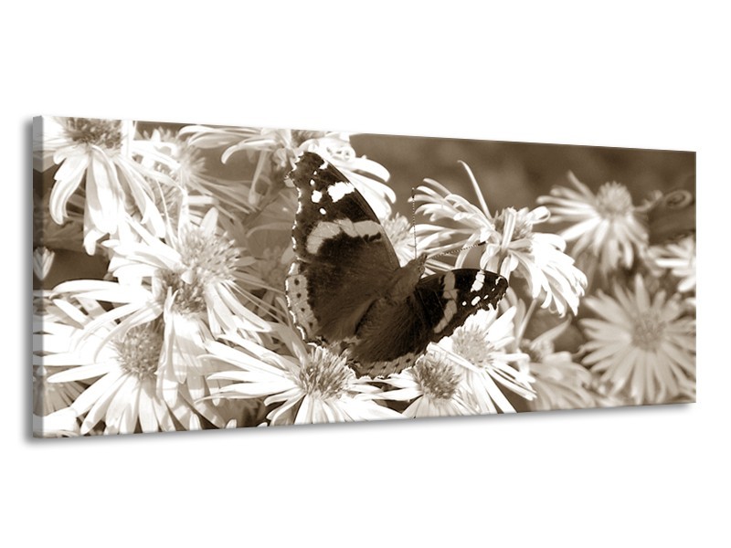 Canvas Schilderij Bloemen, Vlinder | Sepia, Bruin | 145x58cm 1Luik