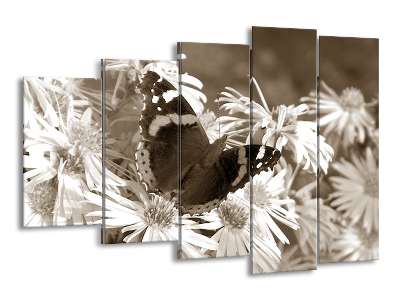 Glasschilderij Bloemen, Vlinder | Sepia, Bruin | 150x100cm 5Luik