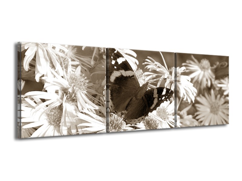 Glasschilderij Bloemen, Vlinder | Sepia, Bruin | 150x50cm 3Luik