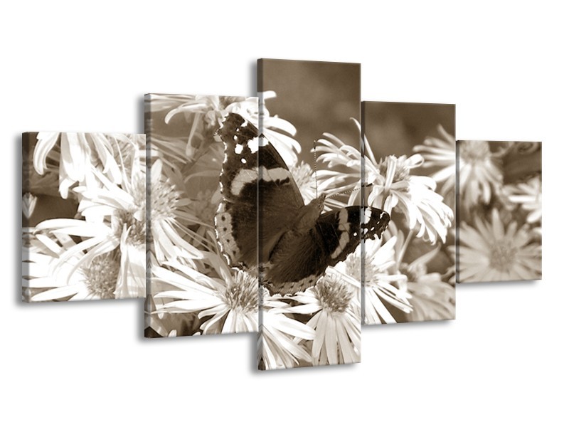 Glasschilderij Bloemen, Vlinder | Sepia, Bruin | 150x80cm 5Luik