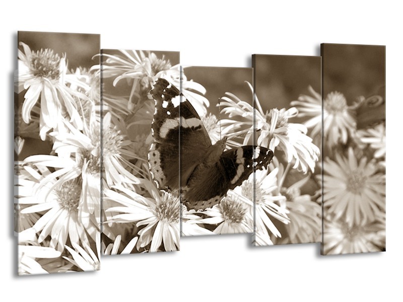 Glasschilderij Bloemen, Vlinder | Sepia, Bruin | 150x80cm 5Luik