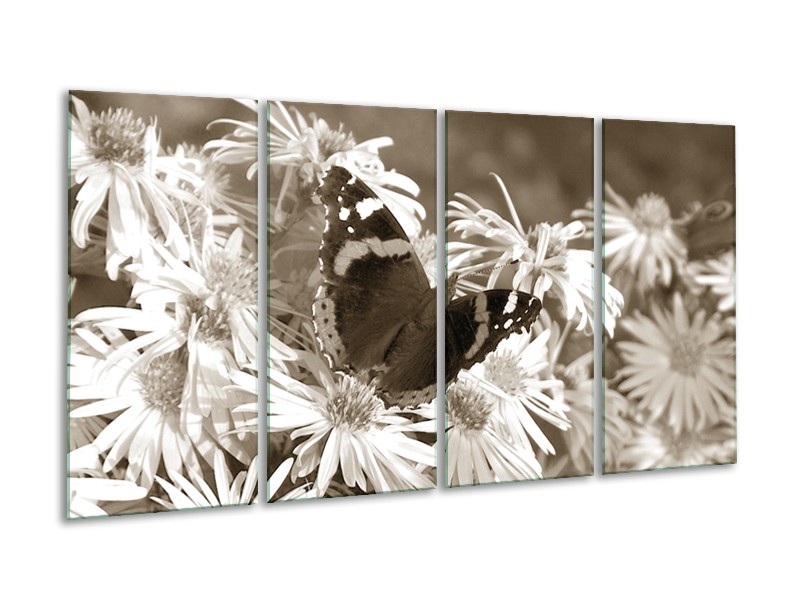 Glasschilderij Bloemen, Vlinder | Sepia, Bruin | 160x80cm 4Luik