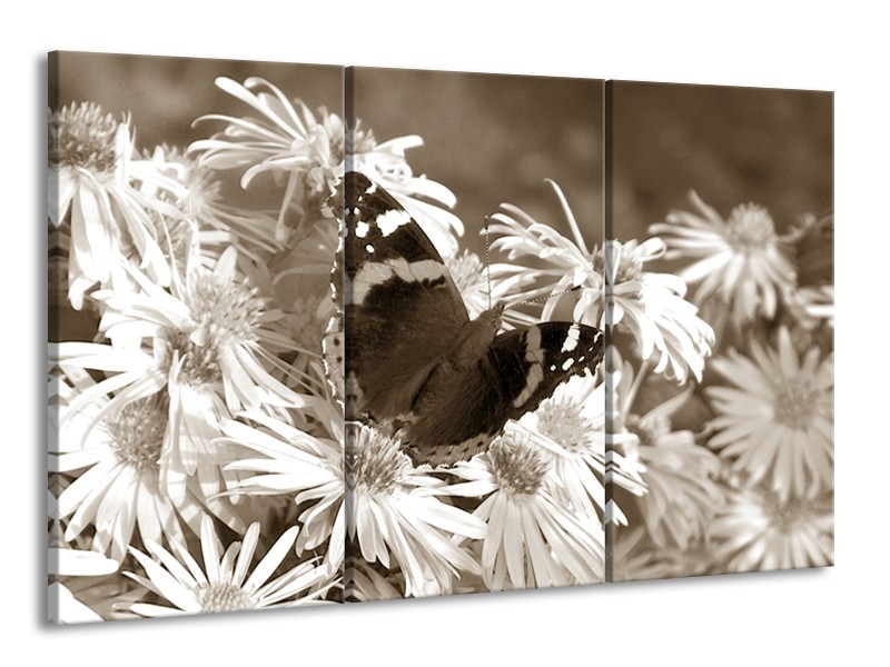 Glasschilderij Bloemen, Vlinder | Sepia, Bruin | 165x100cm 3Luik