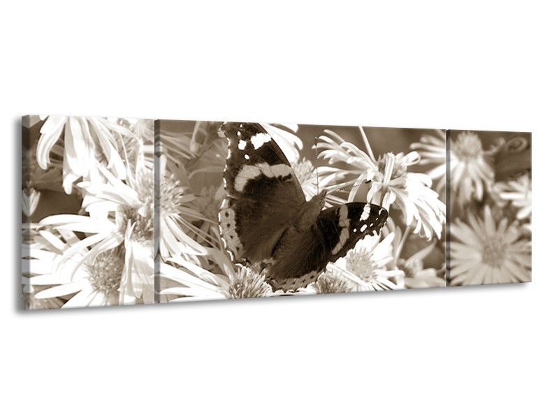 Glasschilderij Bloemen, Vlinder | Sepia, Bruin | 170x50cm 3Luik