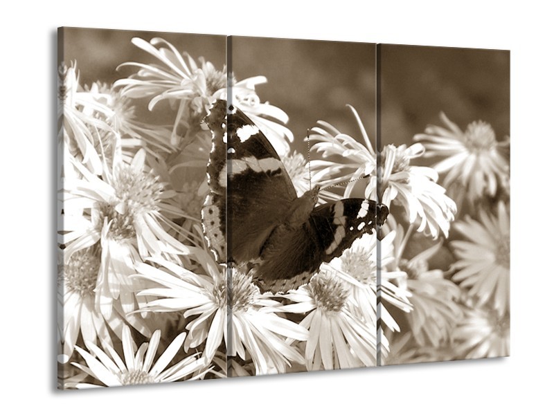 Glasschilderij Bloemen, Vlinder | Sepia, Bruin | 60x90cm 3Luik