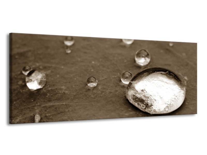 Canvas Schilderij Macro, Druppel | Sepia, Bruin | 145x58cm 1Luik