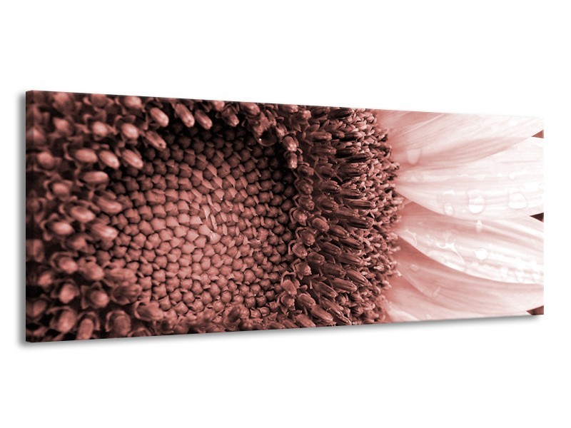 Canvas Schilderij Bloem | Bruin, Rood | 145x58cm 1Luik