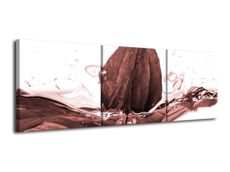 Glasschilderij Bloem | Bruin, Rood | 120x40cm 3Luik