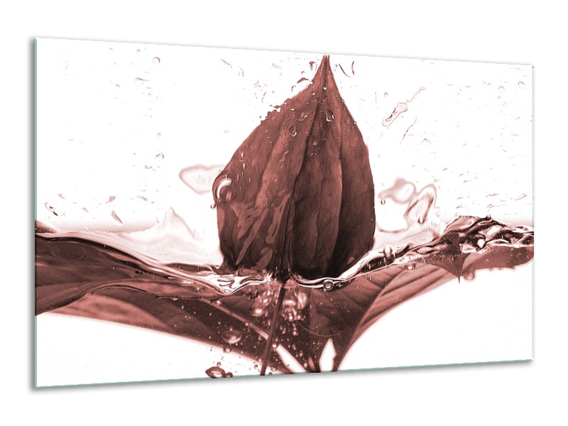 Glasschilderij Bloem | Bruin, Rood | 120x70cm 1Luik
