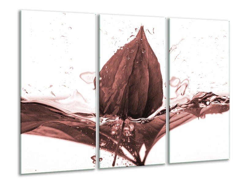 Glasschilderij Bloem | Bruin, Rood | 120x80cm 3Luik