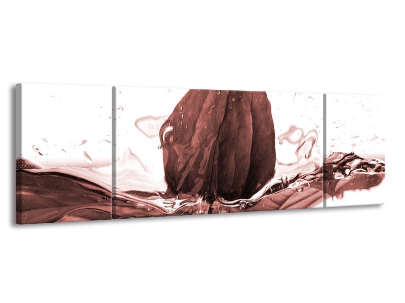 Glasschilderij Bloem | Bruin, Rood | 170x50cm 3Luik