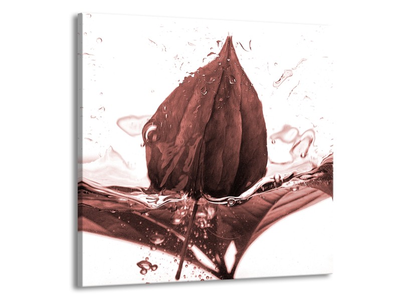 Canvas Schilderij Bloem | Bruin, Rood | 70x70cm 1Luik