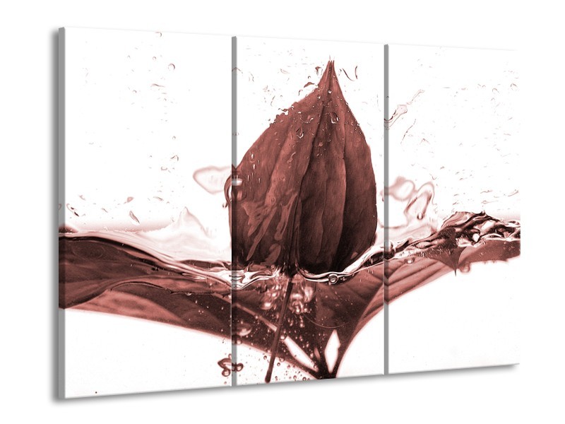 Glasschilderij Bloem | Bruin, Rood | 60x90cm 3Luik