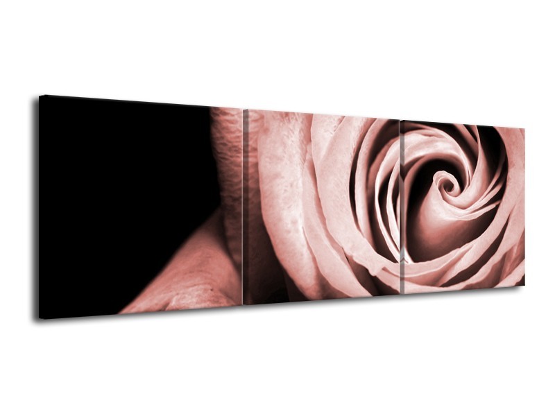 Canvas Schilderij Roos, Bloem | Bruin, Rood, Zwart | 120x40cm 3Luik