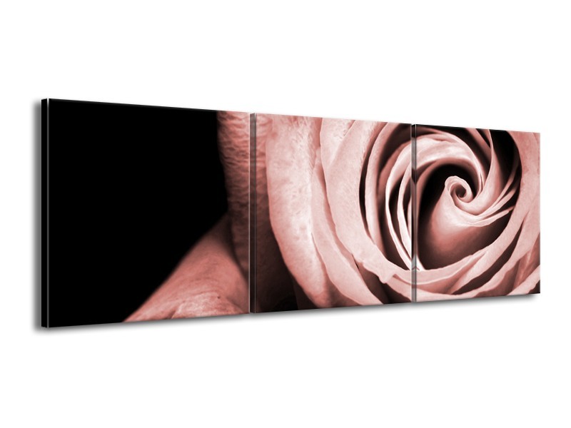 Canvas Schilderij Roos, Bloem | Bruin, Rood, Zwart | 150x50cm 3Luik