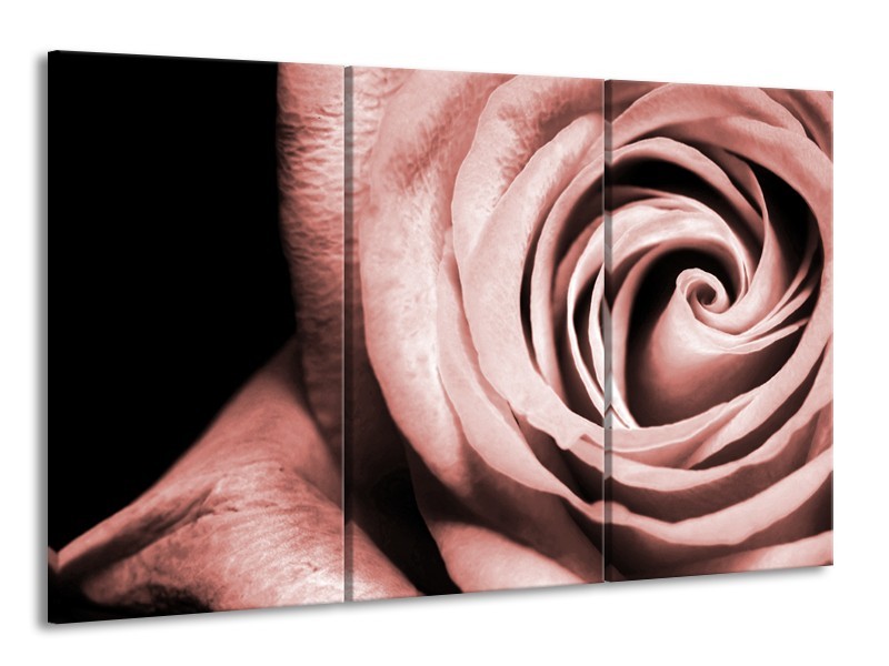 Canvas Schilderij Roos, Bloem | Bruin, Rood, Zwart | 165x100cm 3Luik