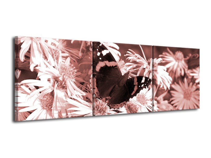 Canvas Schilderij Bloemen, Vlinder | Bruin, Rood, Zwart | 120x40cm 3Luik