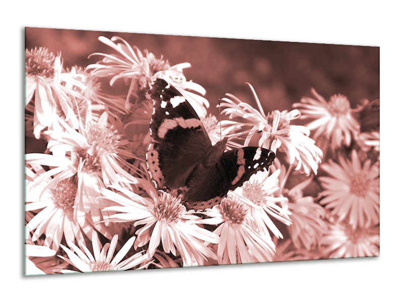 Canvas Schilderij Bloemen, Vlinder | Bruin, Rood, Zwart | 120x70cm 1Luik