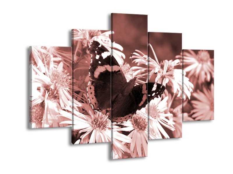 Glasschilderij Bloemen, Vlinder | Bruin, Rood, Zwart | 150x105cm 5Luik