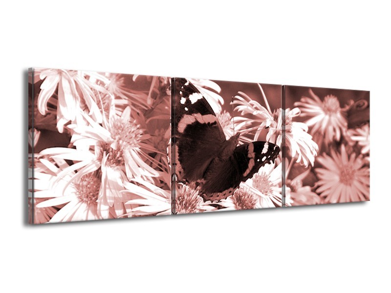 Glasschilderij Bloemen, Vlinder | Bruin, Rood, Zwart | 150x50cm 3Luik