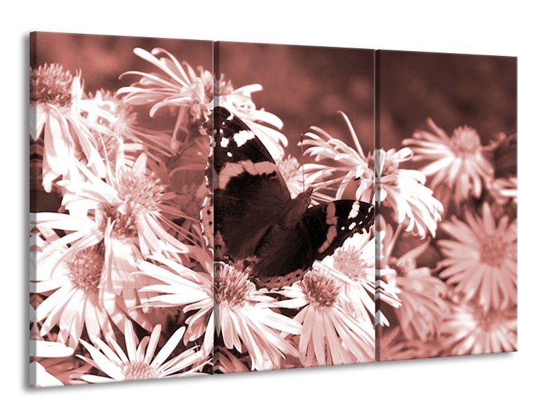 Canvas Schilderij Bloemen, Vlinder | Bruin, Rood, Zwart | 165x100cm 3Luik