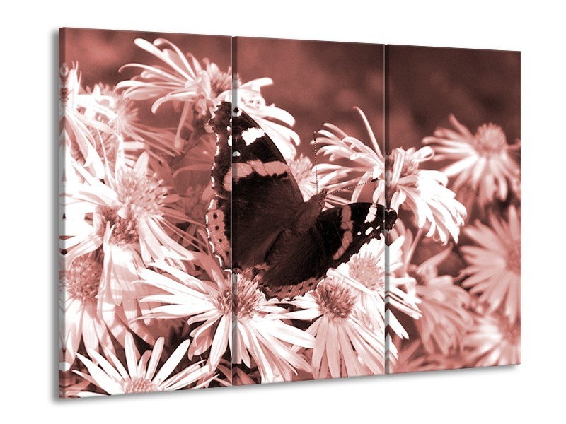 Glasschilderij Bloemen, Vlinder | Bruin, Rood, Zwart | 60x90cm 3Luik