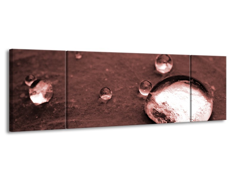 Canvas Schilderij Macro, Druppel | Bruin, Rood | 170x50cm 3Luik