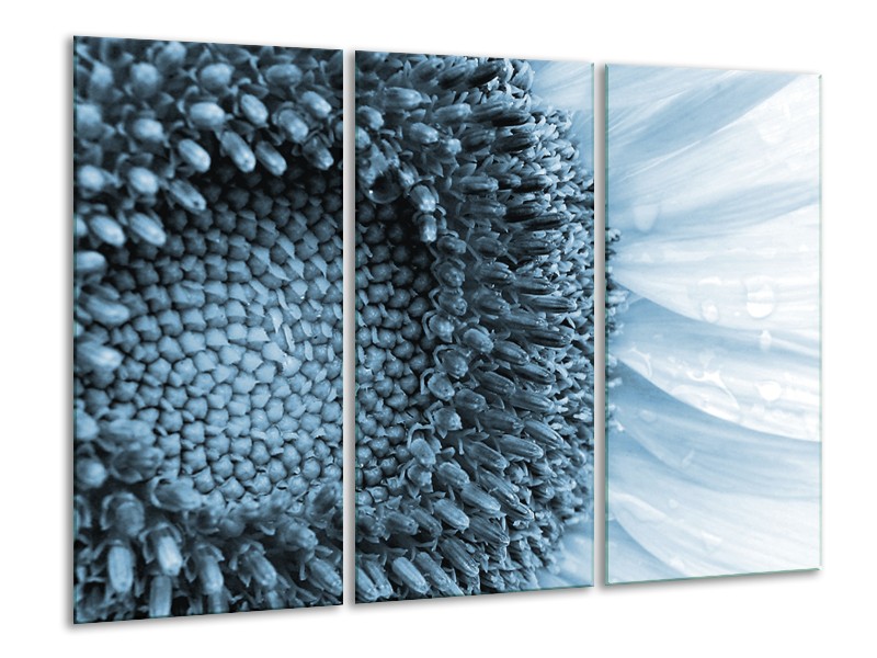 Glasschilderij Bloem | Blauw, Wit | 120x80cm 3Luik