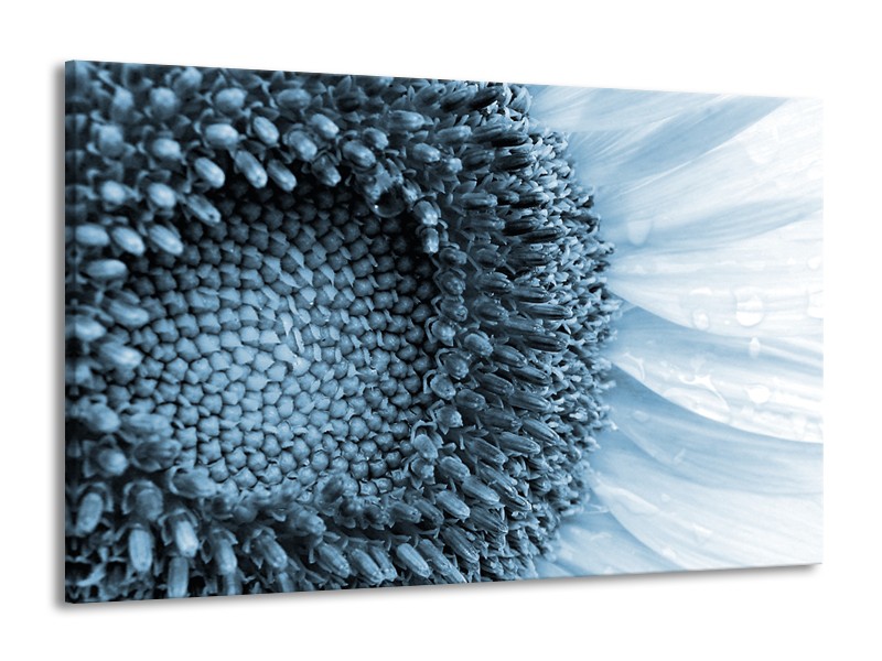 Canvas Schilderij Bloem | Blauw, Wit | 140x90cm 1Luik