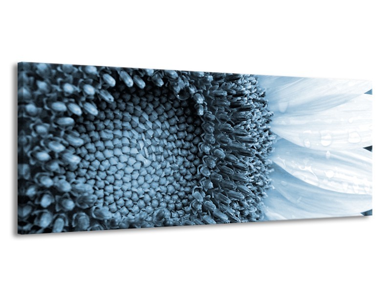 Canvas Schilderij Bloem | Blauw, Wit | 145x58cm 1Luik