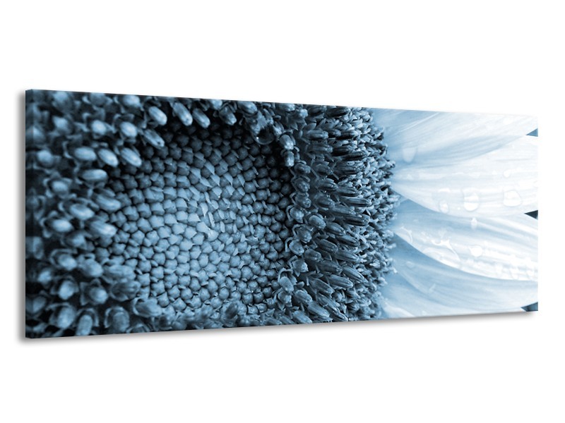 Canvas Schilderij Bloem | Blauw, Wit | 145x58cm 1Luik