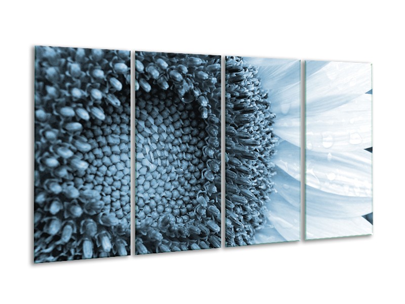 Glasschilderij Bloem | Blauw, Wit | 160x80cm 4Luik