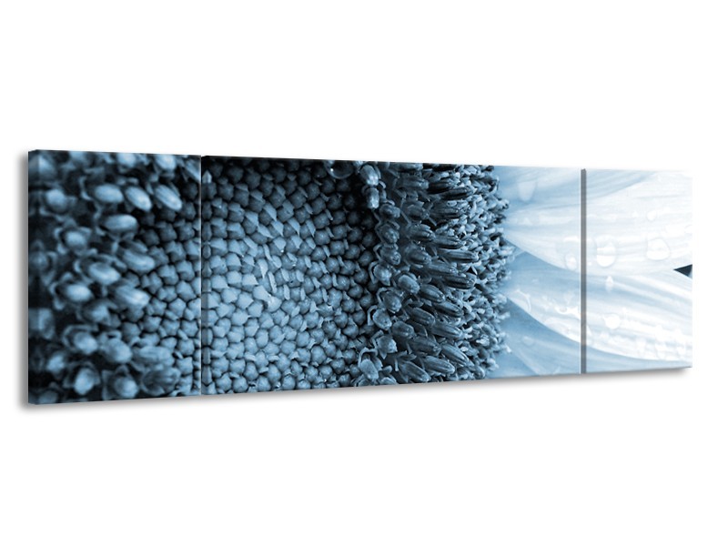 Glasschilderij Bloem | Blauw, Wit | 170x50cm 3Luik