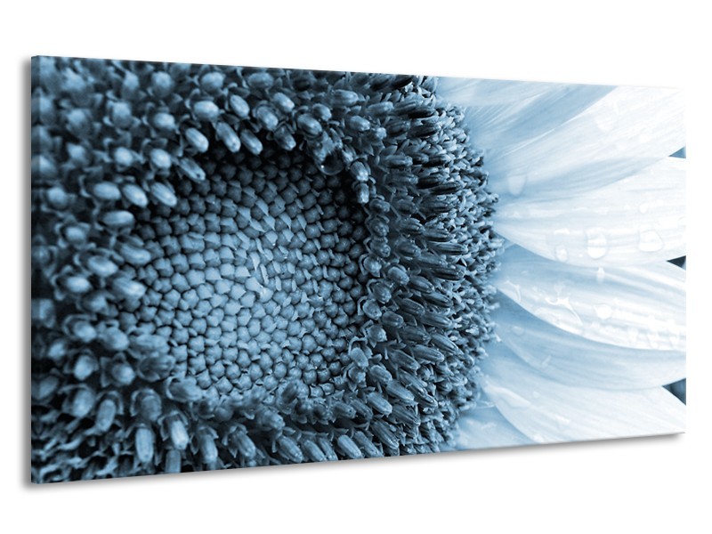 Canvas Schilderij Bloem | Blauw, Wit | 190x100cm 1Luik