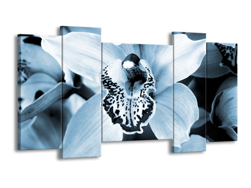 Canvas Schilderij Bloem | Blauw, Wit | 120x65cm 5Luik