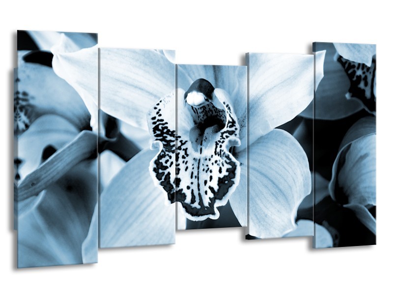 Canvas Schilderij Bloem | Blauw, Wit | 150x80cm 5Luik