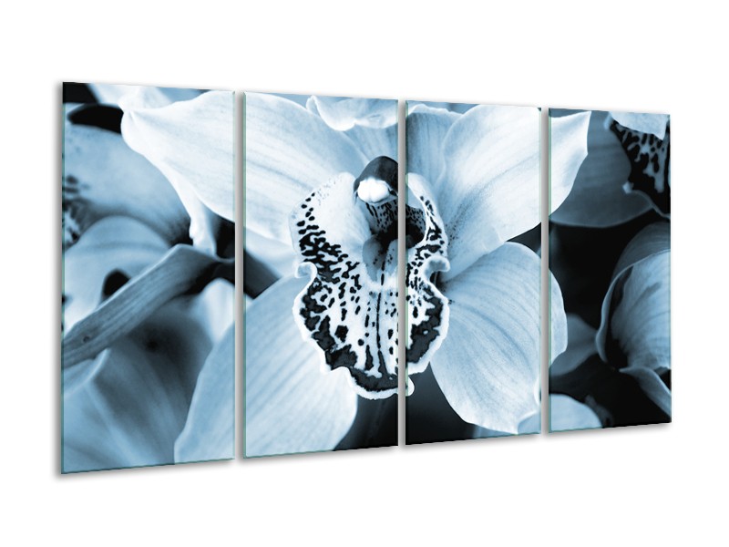 Glasschilderij Bloem | Blauw, Wit | 160x80cm 4Luik