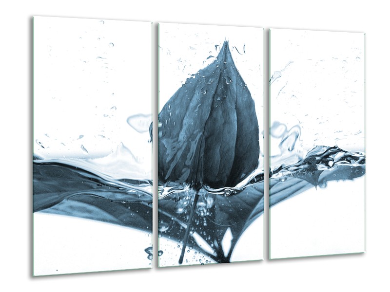 Glasschilderij Bloem | Blauw, Wit | 120x80cm 3Luik