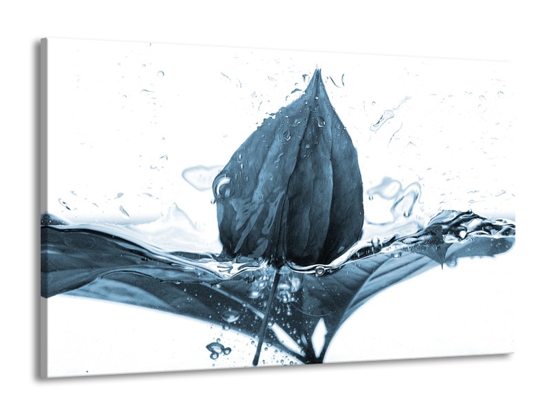 Canvas Schilderij Bloem | Blauw, Wit | 140x90cm 1Luik