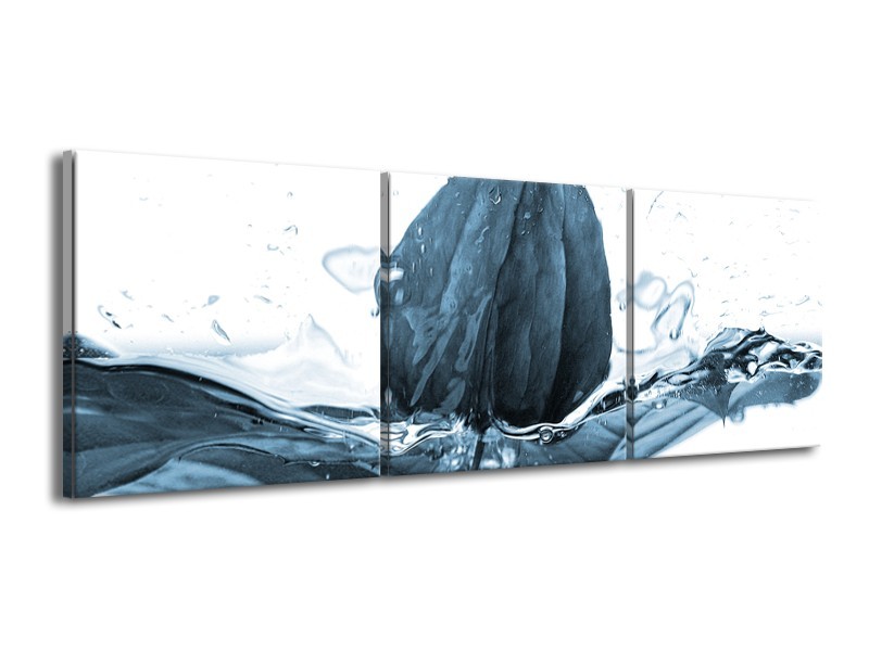 Glasschilderij Bloem | Blauw, Wit | 150x50cm 3Luik