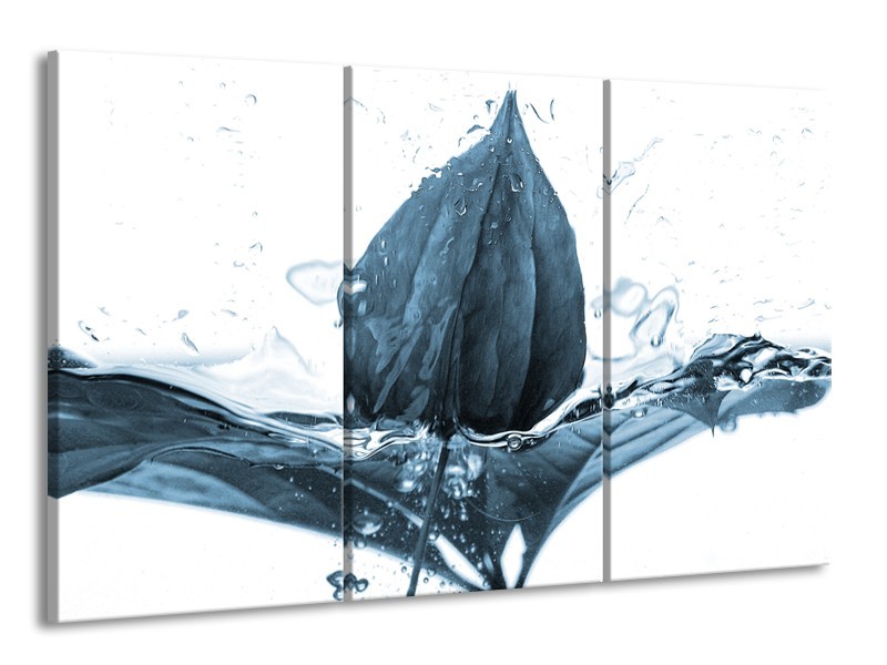 Glasschilderij Bloem | Blauw, Wit | 165x100cm 3Luik