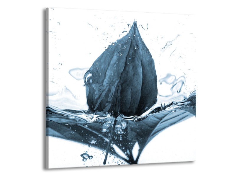 Canvas Schilderij Bloem | Blauw, Wit | 70x70cm 1Luik