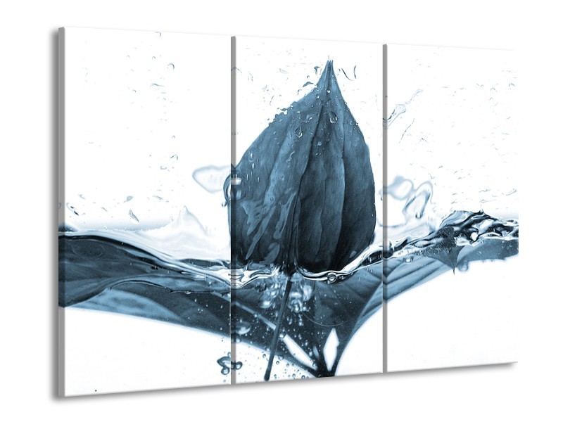 Glasschilderij Bloem | Blauw, Wit | 60x90cm 3Luik