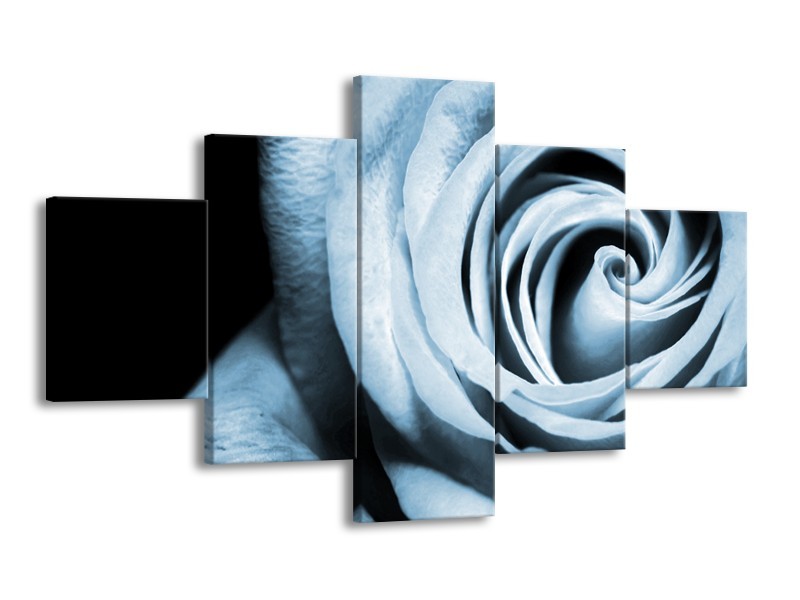 Glasschilderij Roos, Bloem | Blauw, Grijs, Zwart | 125x70cm 5Luik