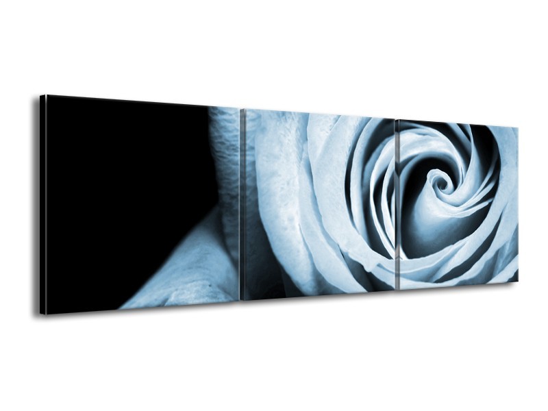 Canvas Schilderij Roos, Bloem | Blauw, Grijs, Zwart | 150x50cm 3Luik