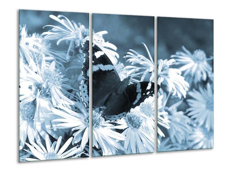 Canvas Schilderij Bloemen, Vlinder | Blauw, Grijs, Zwart | 120x80cm 3Luik