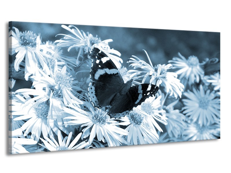 Canvas Schilderij Bloemen, Vlinder | Blauw, Grijs, Zwart | 170x90cm 1Luik