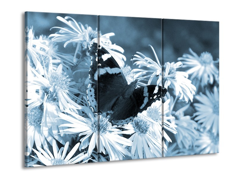 Canvas Schilderij Bloemen, Vlinder | Blauw, Grijs, Zwart | 60x90cm 3Luik